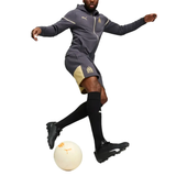 Olympique Marseille Casual hooded presentation tracksuit 2024 - Puma