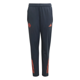 Adidas Bayern Munich training set for kids featuring comfortable pants with team branding