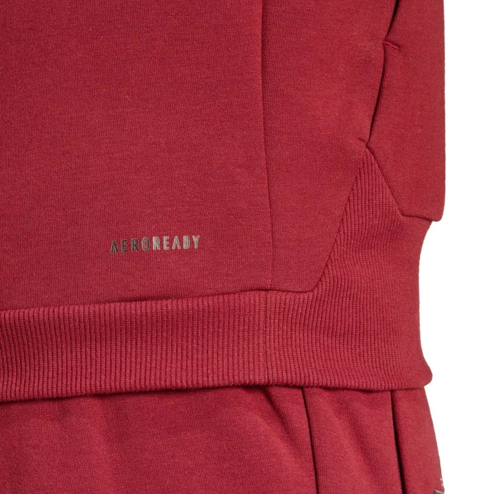 Belgium Casual Travel hooded presentation tracksuit 2024/25 - Adidas
