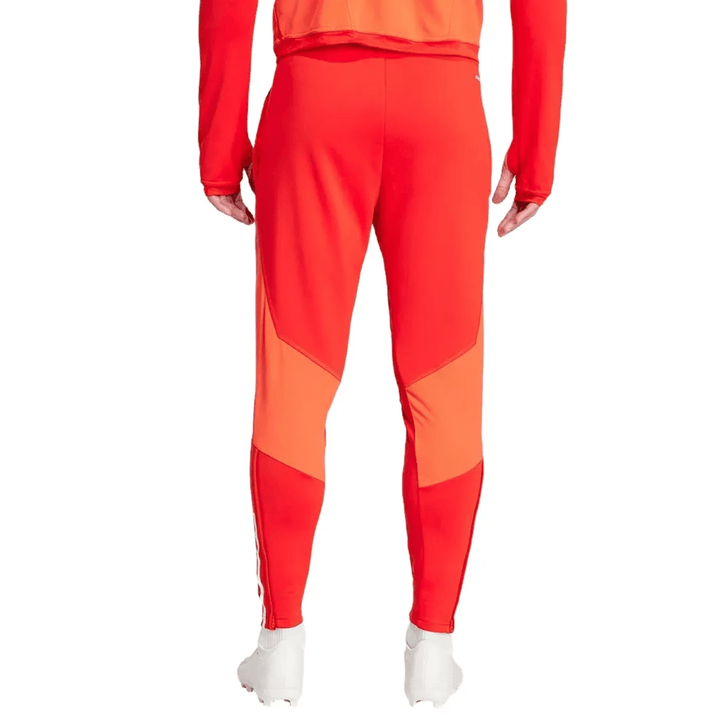 Bayern Munich red training technical tracksuit 2024 - Adidas