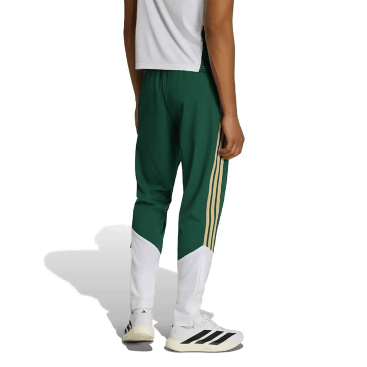 Italy training presentation soccer tracksuit set by Adidas in green and white with gold stripes