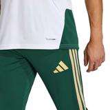 Adidas Italy green training tracksuit 2026 featuring breathable fabric and classic adidas design