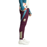 Mexico national team tracksuit mens maroon pants with teal side stripes and white cleats