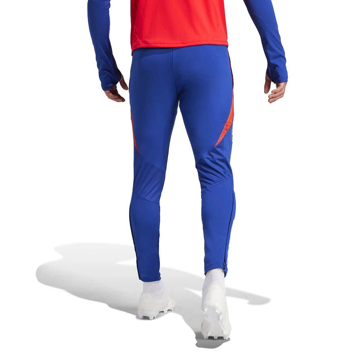Spain light blue training technical Soccer tracksuit 2024/25 - Adidas