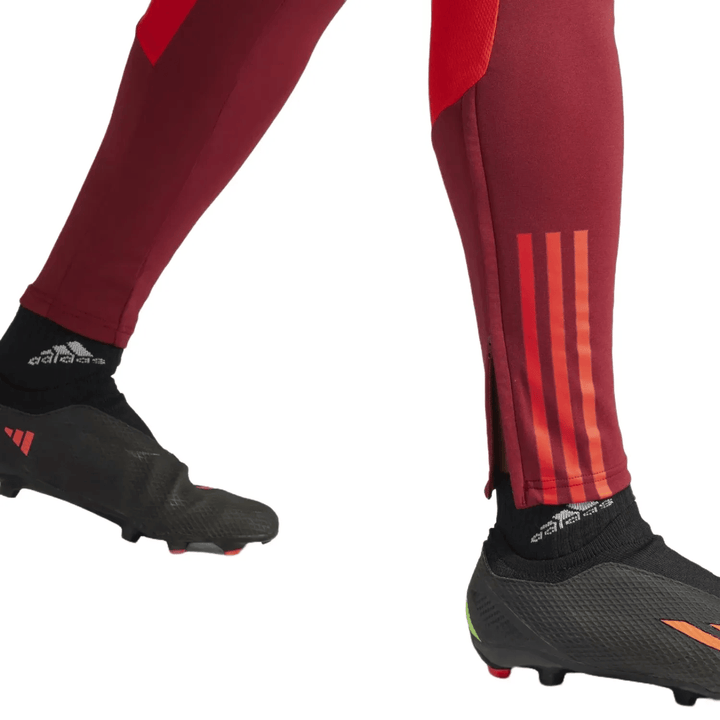 Manchester United UCL training technical Soccer tracksuit 2023/24 - Adidas