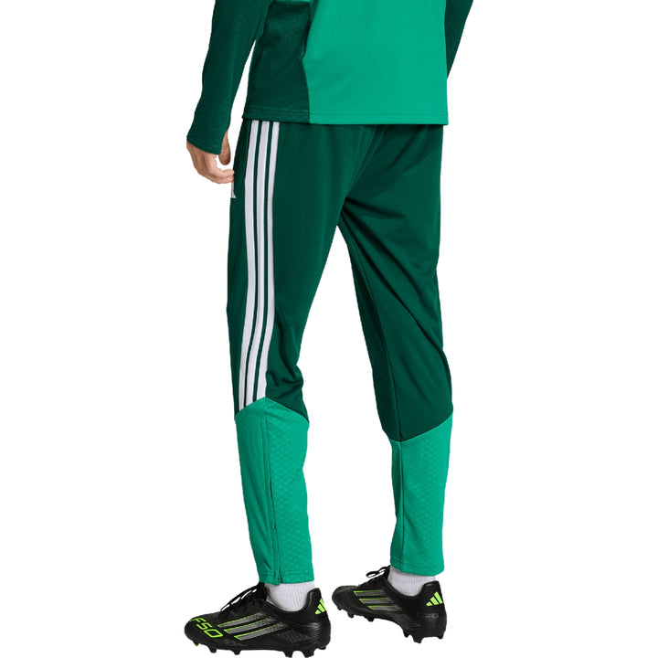 Algeria training technical soccer tracksuit 2026/27 - Adidas
