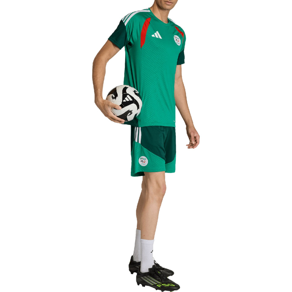 Algeria s/s players training soccer set 2026/27 - Adidas