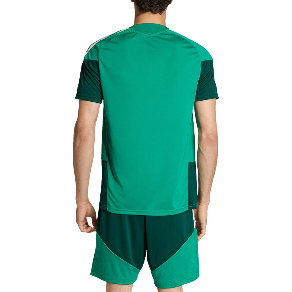 Algeria s/s players training soccer set 2026/27 - Adidas