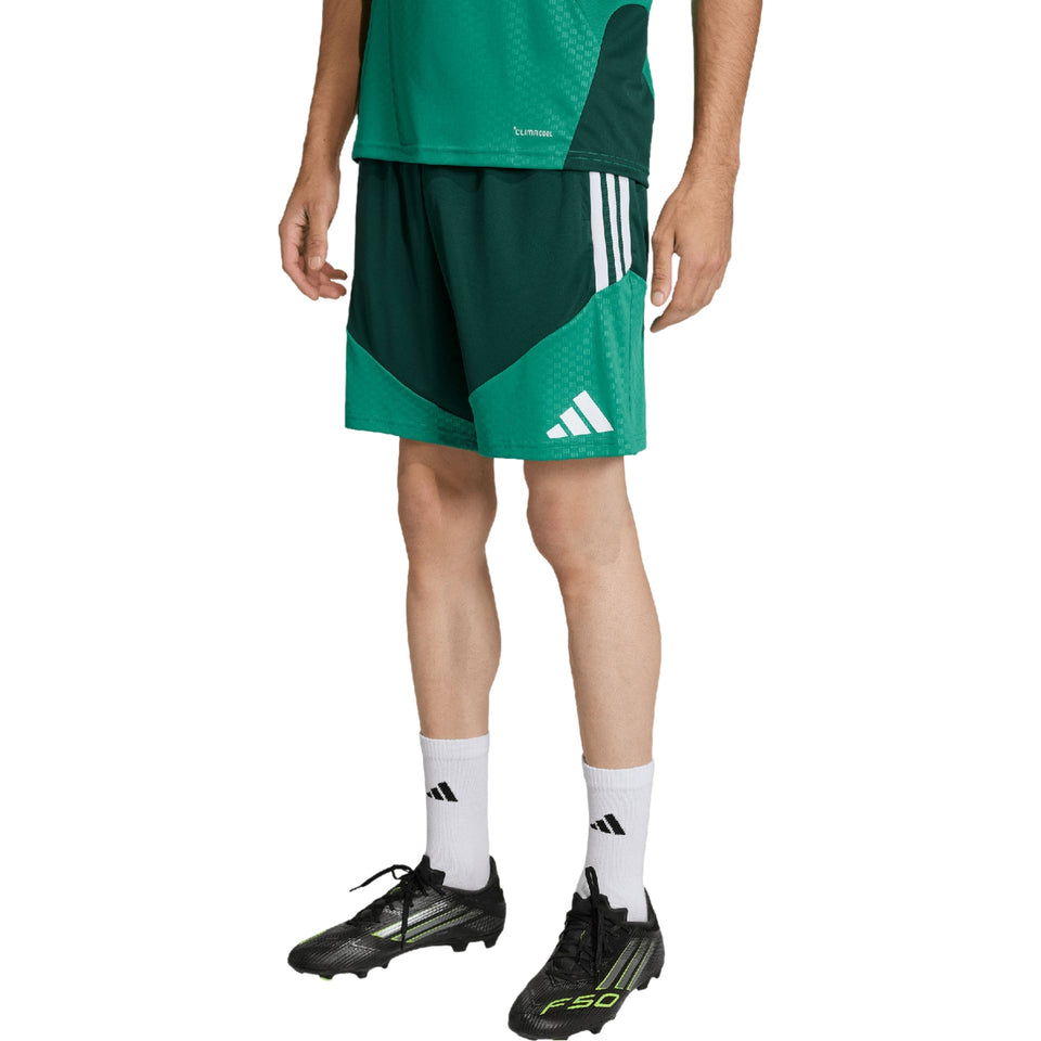 Algeria s/s players training soccer set 2026/27 - Adidas