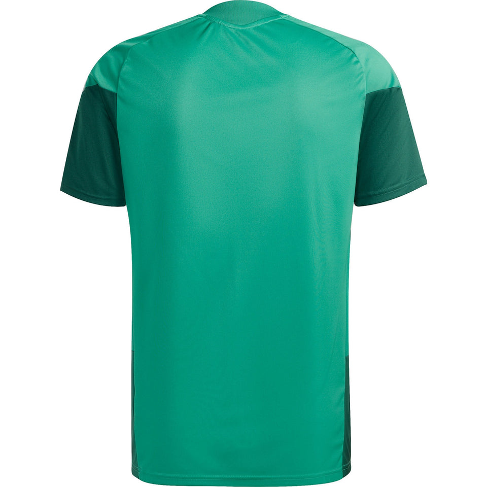 Algeria s/s players training soccer set 2026/27 - Adidas