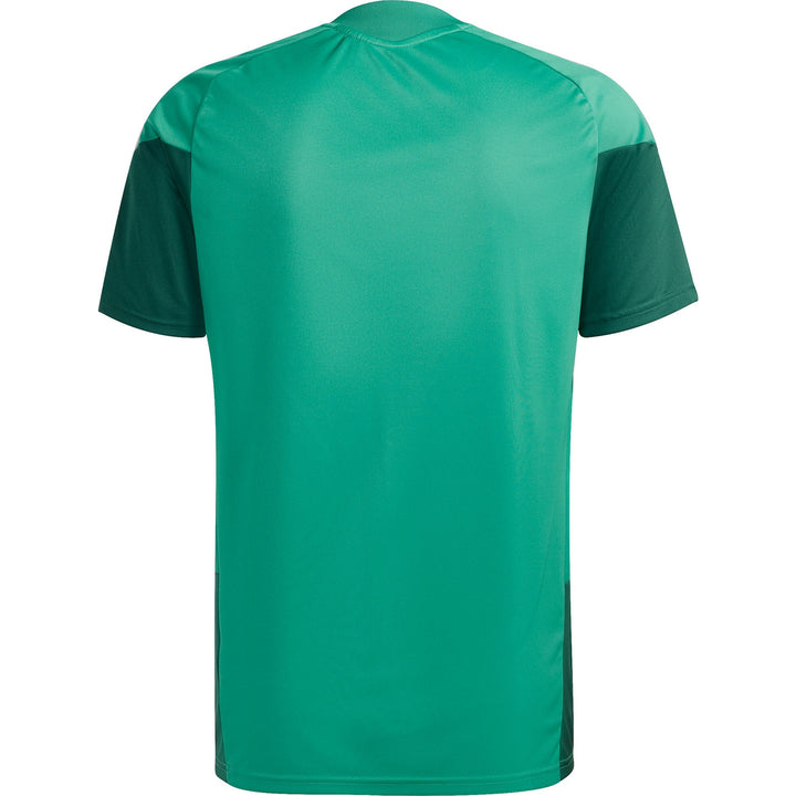 Algeria s/s players training soccer set 2026/27 - Adidas