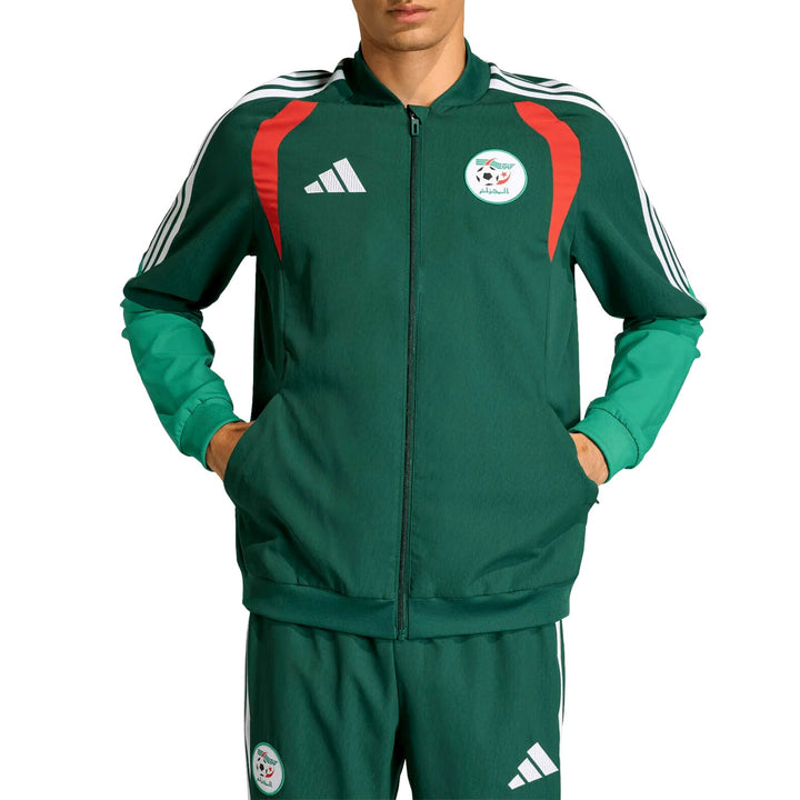 Algeria training presentation soccer tracksuit 2026/27 - Adidas