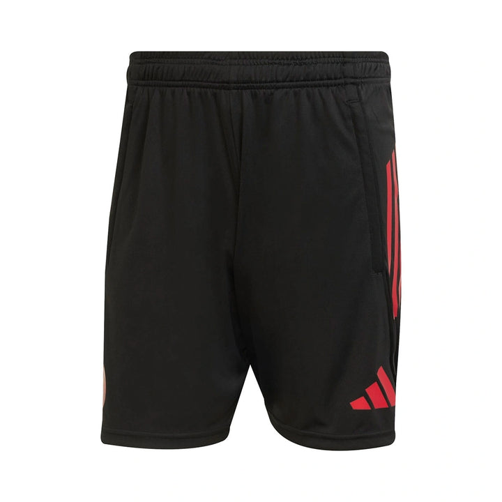 Bayern Munich UCL training short-sleeves Soccer set 2025/26 - Adidas