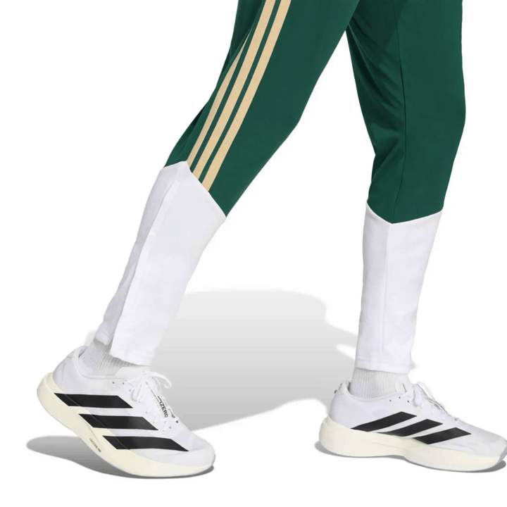 Italy training technical soccer tracksuit by Adidas in green with white and gold accents for adults