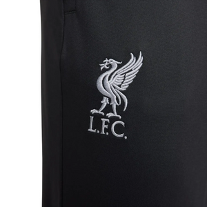 Liverpool FC dark grey training presentation hooded tracksuit 2024 - Nike