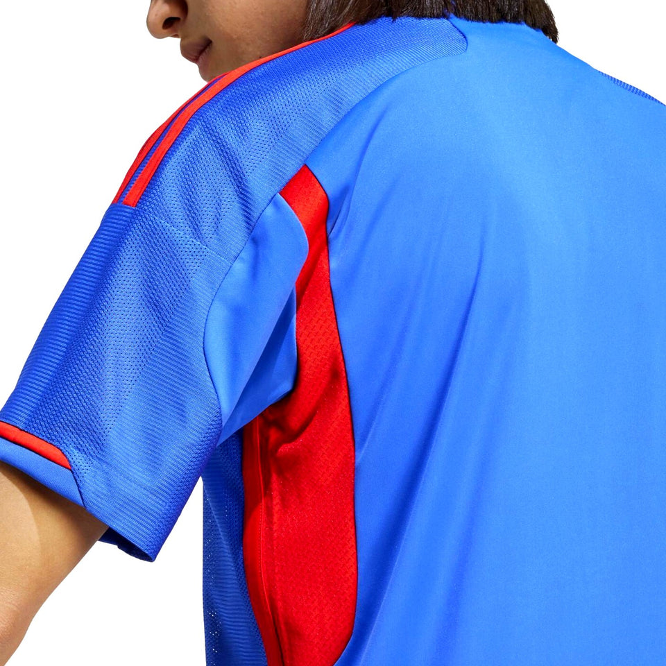 Back view of the Olympique Lyon away jersey 2023 24 featuring vibrant blue and red design details
