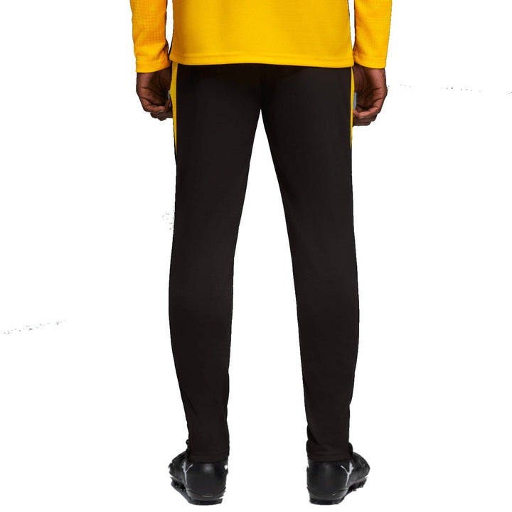 BVB Borussia Dortmund training technical soccer tracksuit 2025/26 - Puma