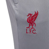 Liverpool FC grey training presentation hooded tracksuit 2023 - Nike