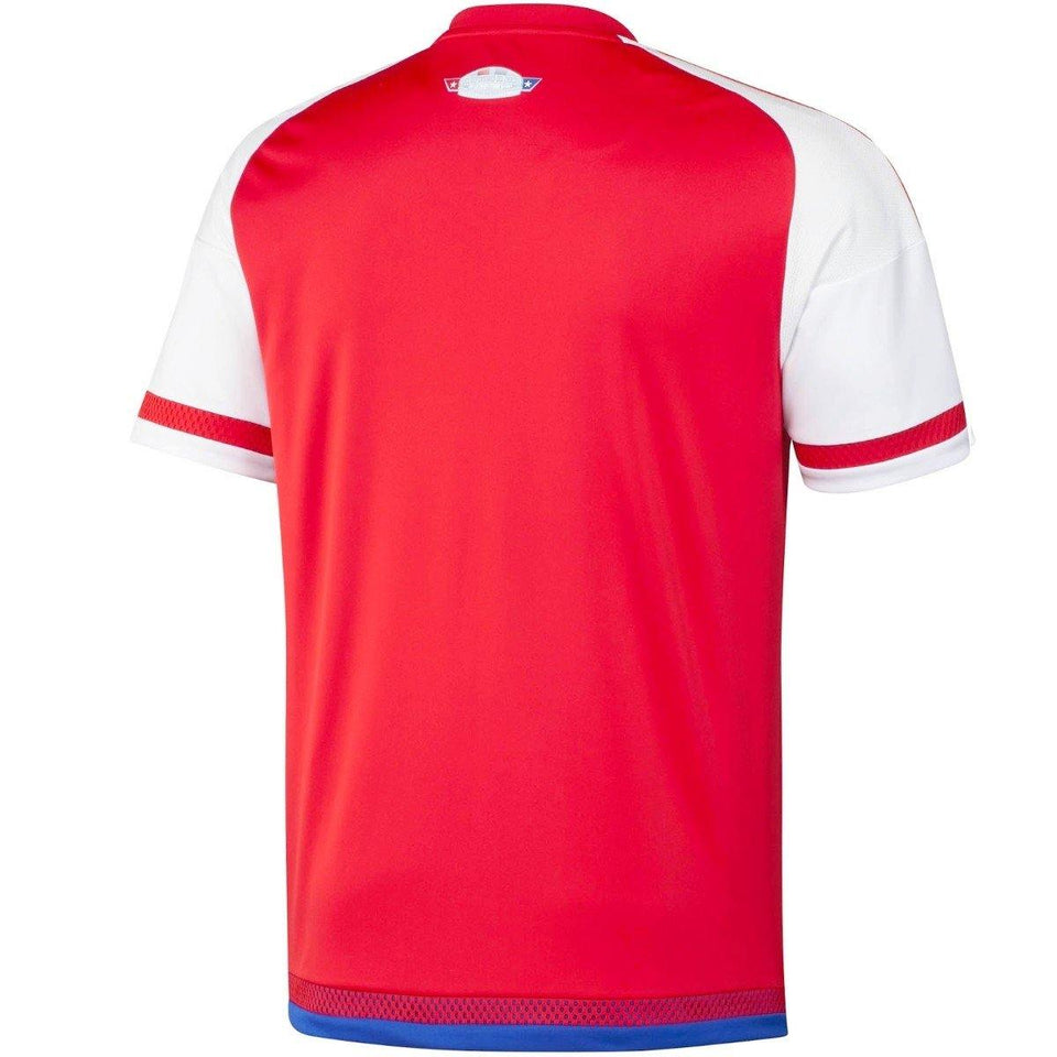 Paraguay soccer jersey