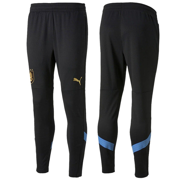 Uruguay national team technical training Soccer tracksuit 2022/23 - Puma